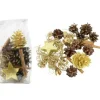 Riffelmacher et Weinberger Pot Pourri Senteurs Noël|Pot Pourri Melange Pomme De Pin, Cannelle, Mousse, Déco, 100 G